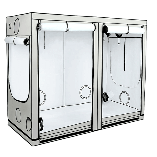 Growbox Homebox Ambient, R240, 240 x 120 x 200cm - Oberbergs Fundgrube