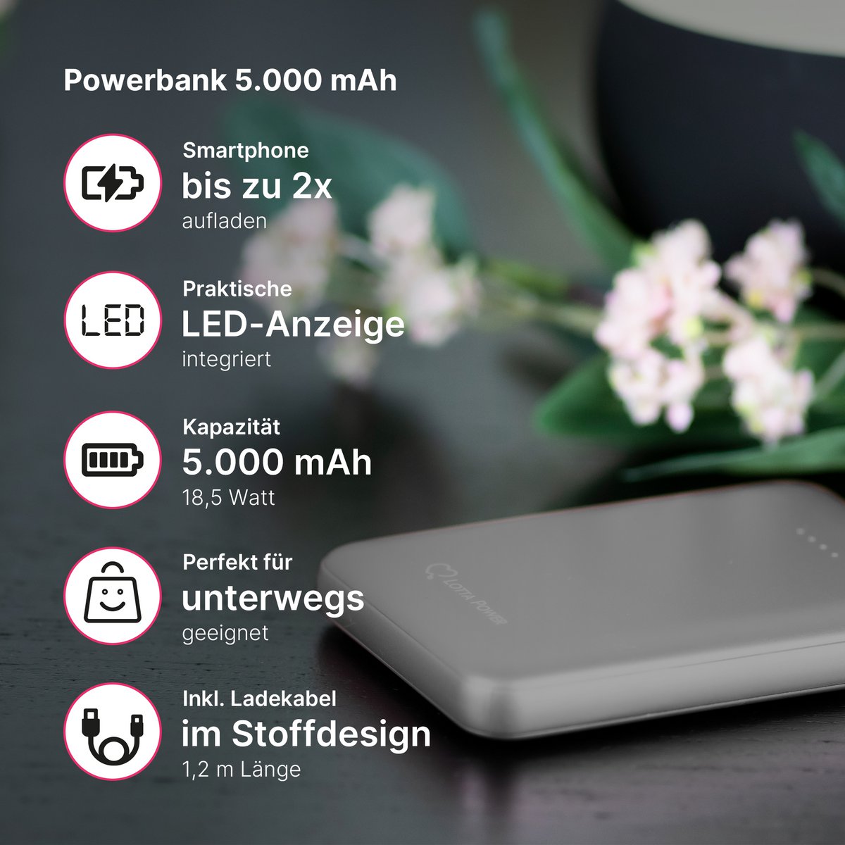 Zusatzakku Lotta Power Powerbank 5.000 mAh