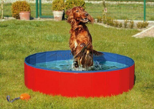 KA DOGGY POOL Hundepool - Oberbergs Fundgrube