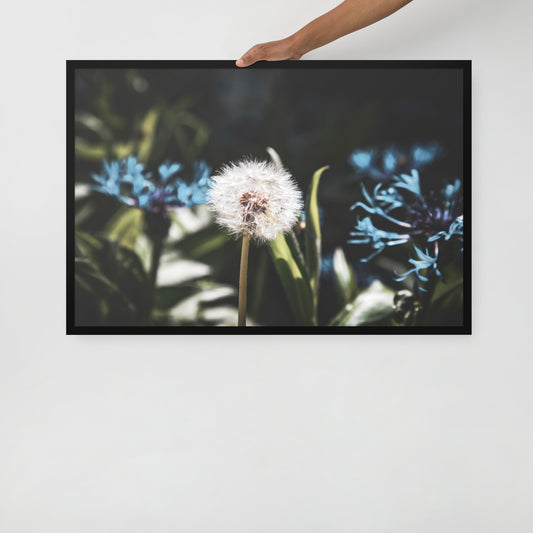 Gerahmtes Poster auf mattem Papier - Pusteblume - Das Lädchen von Fotograf Oberberg