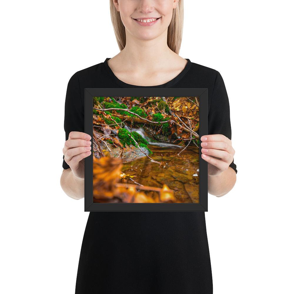 Bachlauf im Wald - Gerahmtes Poster - Das Lädchen von Fotograf Oberberg