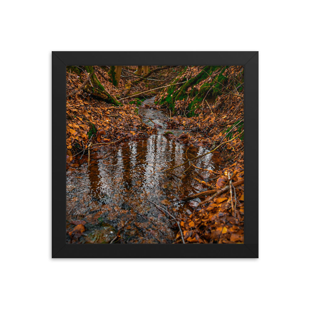 Herbstlicher Bachlauf - Gerahmtes Poster - Das Lädchen von Fotograf Oberberg