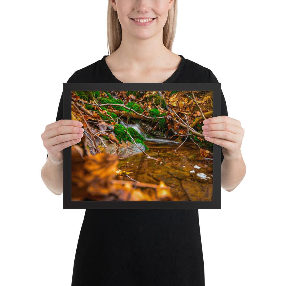 Bachlauf im Wald - Gerahmtes Poster - Das Lädchen von Fotograf Oberberg