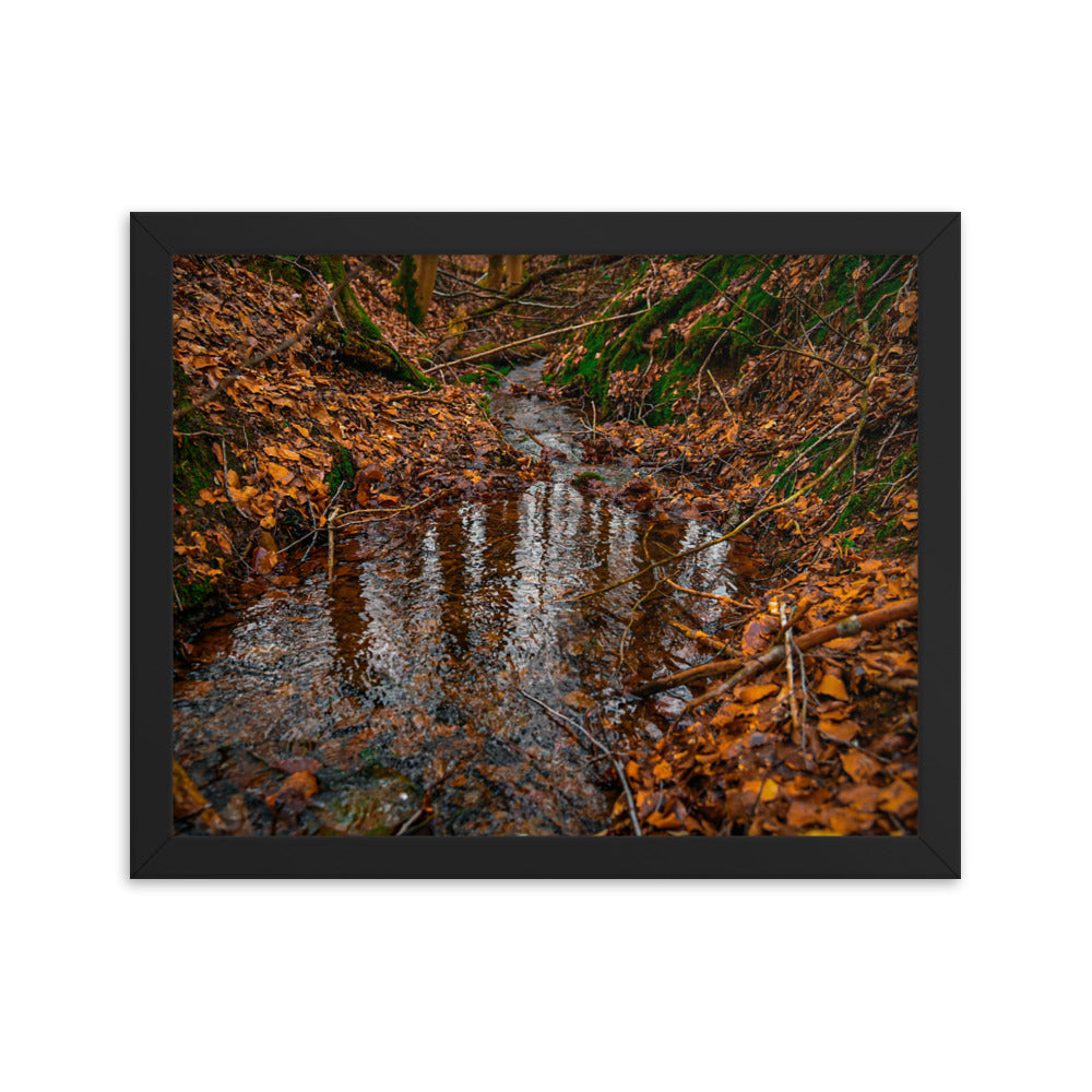 Herbstlicher Bachlauf - Gerahmtes Poster - Das Lädchen von Fotograf Oberberg