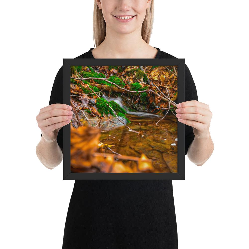 Bachlauf im Wald - Gerahmtes Poster - Das Lädchen von Fotograf Oberberg