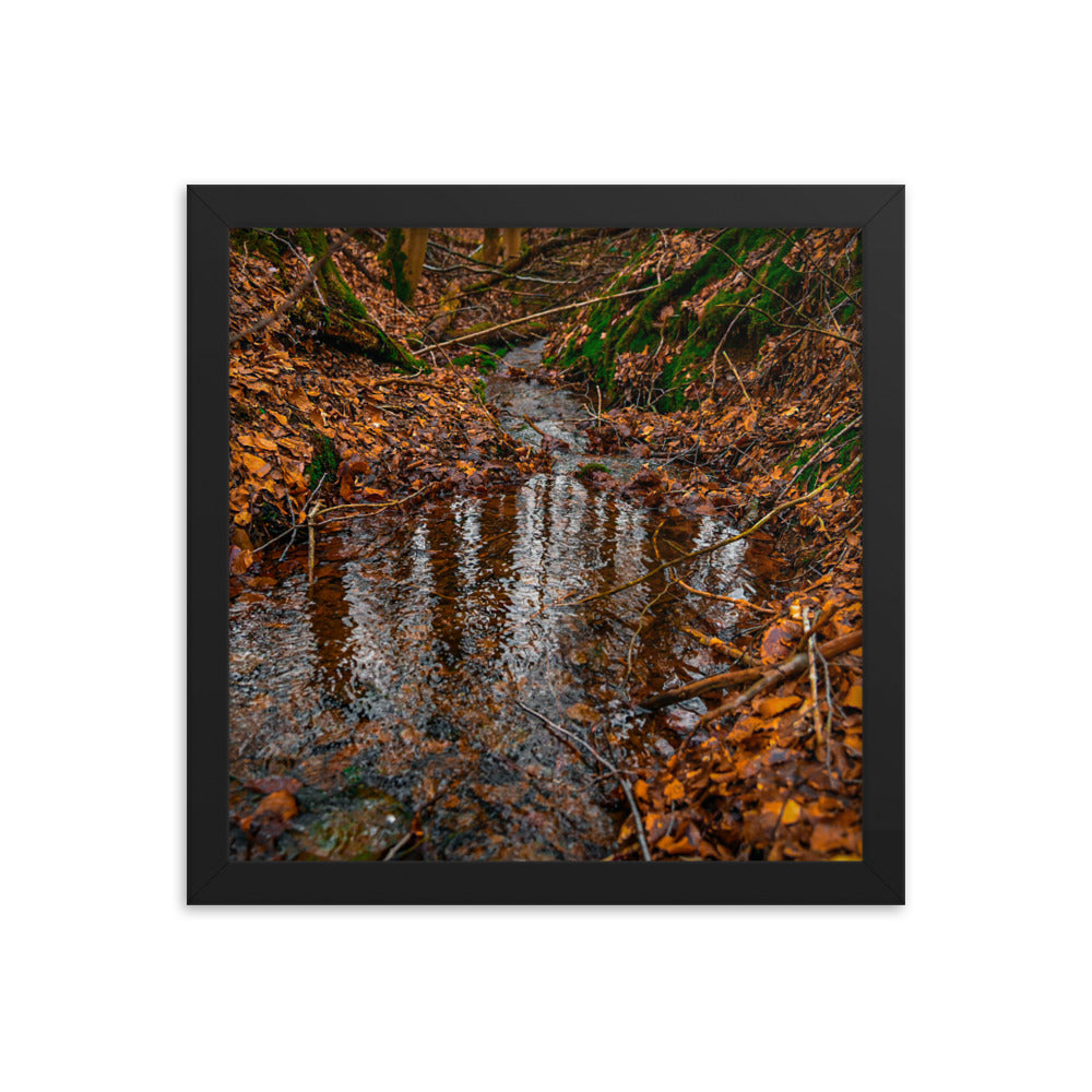 Herbstlicher Bachlauf - Gerahmtes Poster - Das Lädchen von Fotograf Oberberg