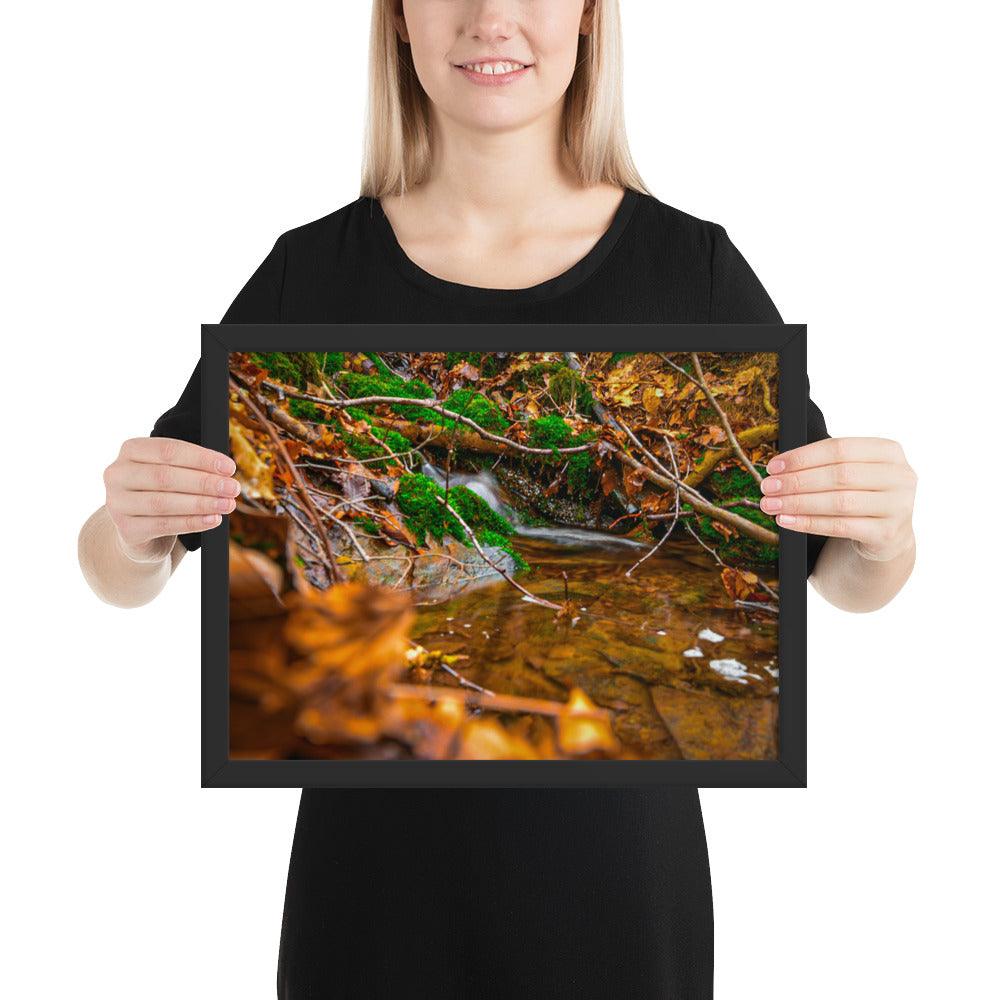 Bachlauf im Wald - Gerahmtes Poster - Das Lädchen von Fotograf Oberberg