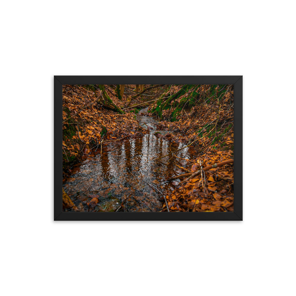 Herbstlicher Bachlauf - Gerahmtes Poster - Das Lädchen von Fotograf Oberberg