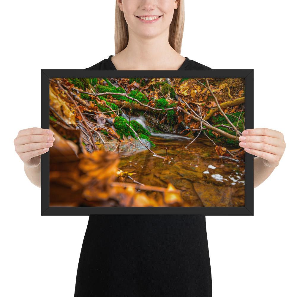 Bachlauf im Wald - Gerahmtes Poster - Das Lädchen von Fotograf Oberberg