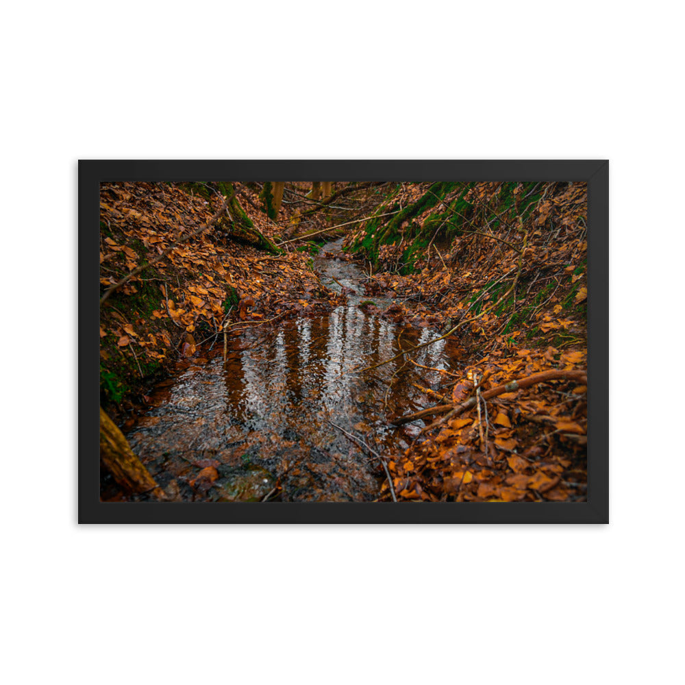 Herbstlicher Bachlauf - Gerahmtes Poster - Das Lädchen von Fotograf Oberberg