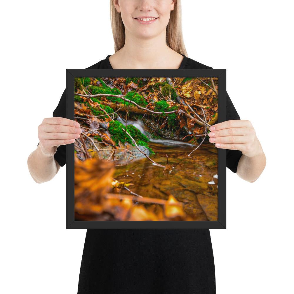 Bachlauf im Wald - Gerahmtes Poster - Das Lädchen von Fotograf Oberberg