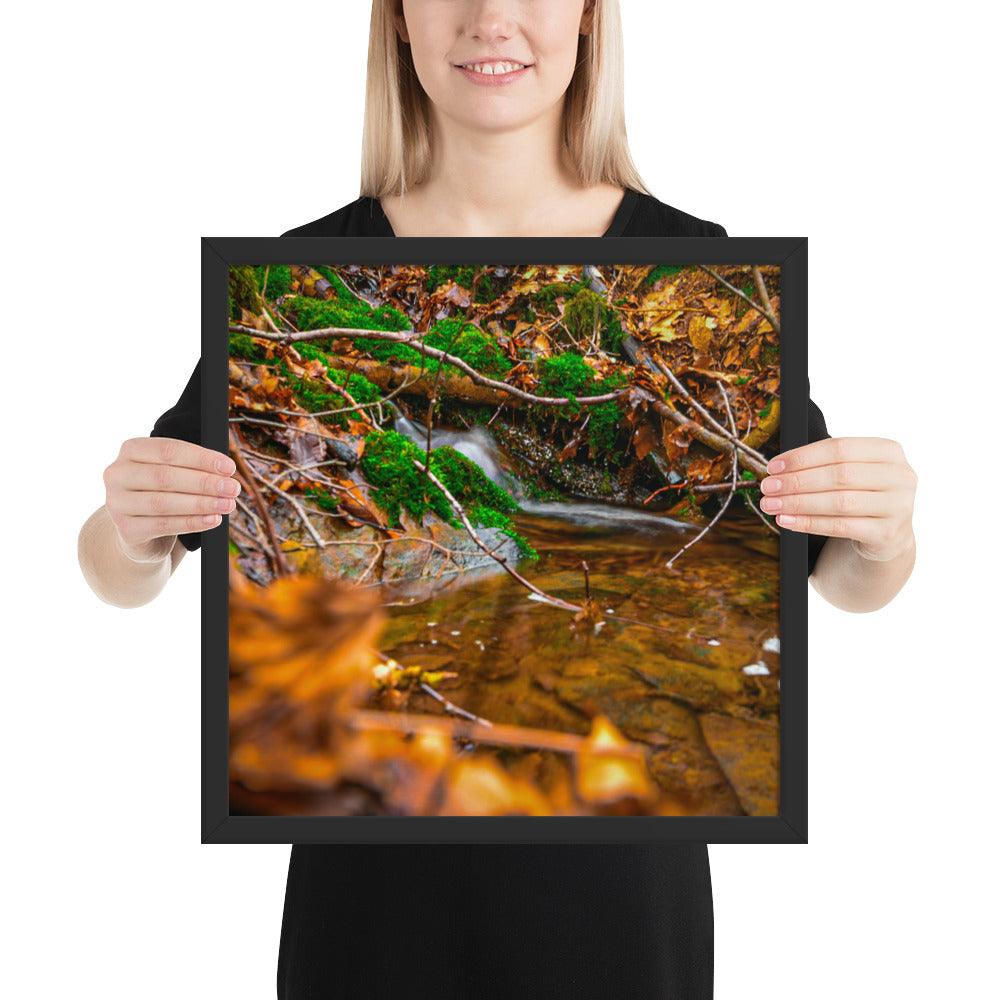 Bachlauf im Wald - Gerahmtes Poster - Das Lädchen von Fotograf Oberberg