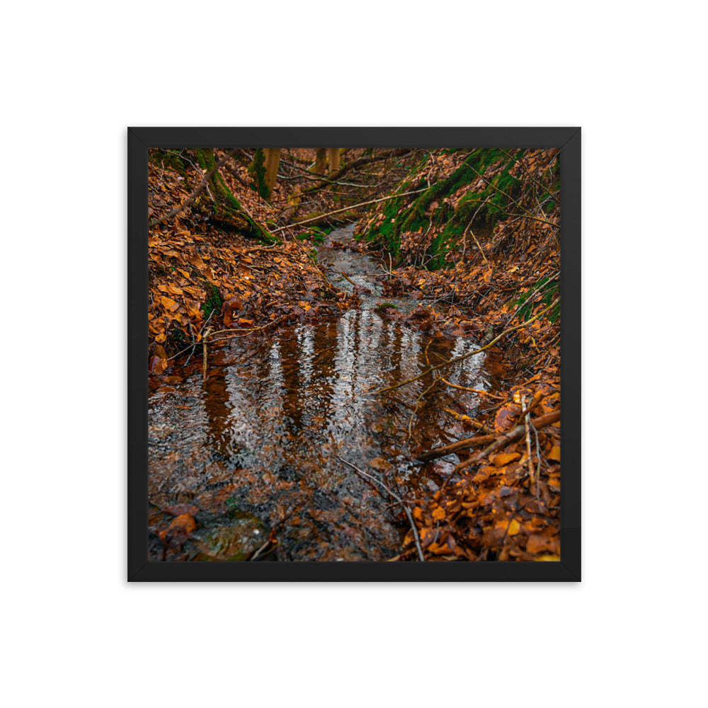 Herbstlicher Bachlauf - Gerahmtes Poster - Das Lädchen von Fotograf Oberberg