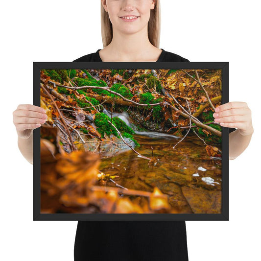 Bachlauf im Wald - Gerahmtes Poster - Das Lädchen von Fotograf Oberberg