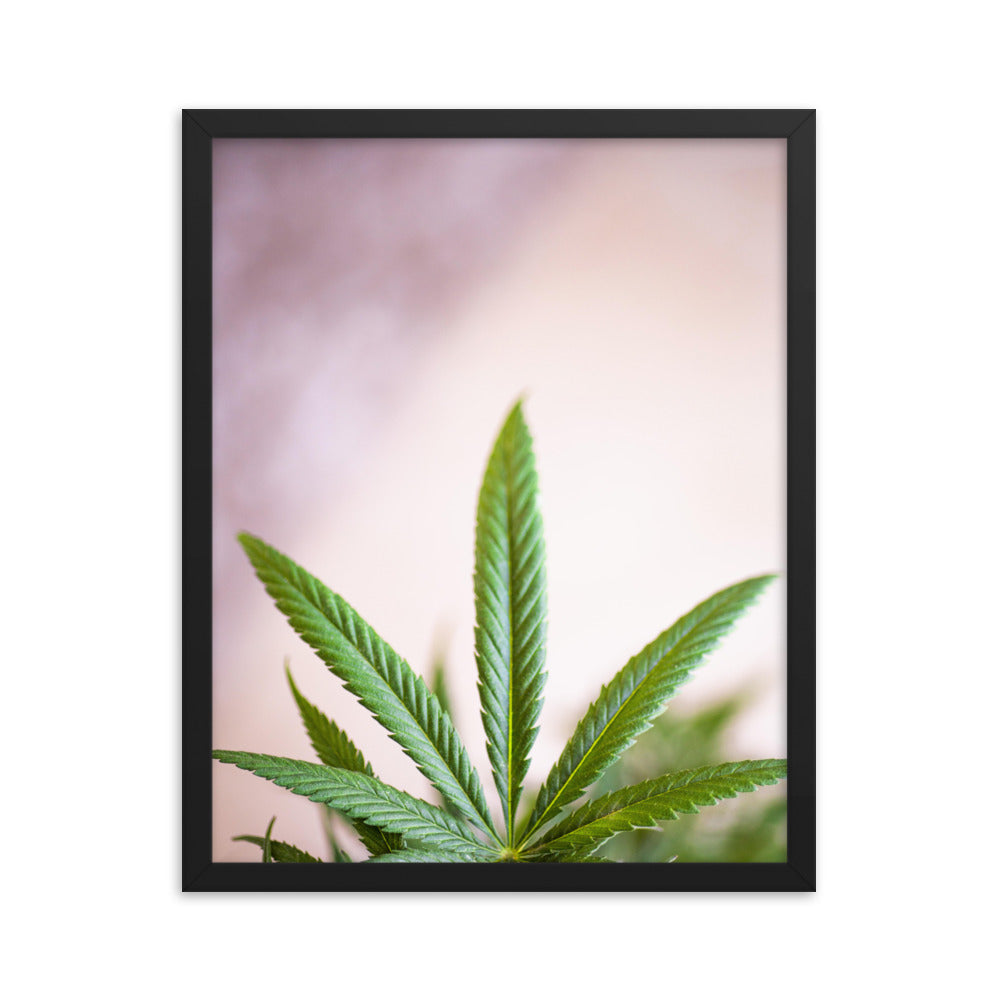 Gerahmtes Poster - Weedblatt - Das Lädchen von Fotograf Oberberg