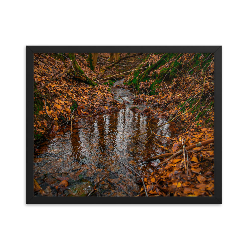 Herbstlicher Bachlauf - Gerahmtes Poster - Das Lädchen von Fotograf Oberberg