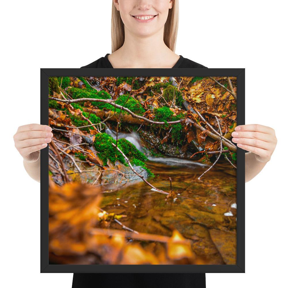 Bachlauf im Wald - Gerahmtes Poster - Das Lädchen von Fotograf Oberberg