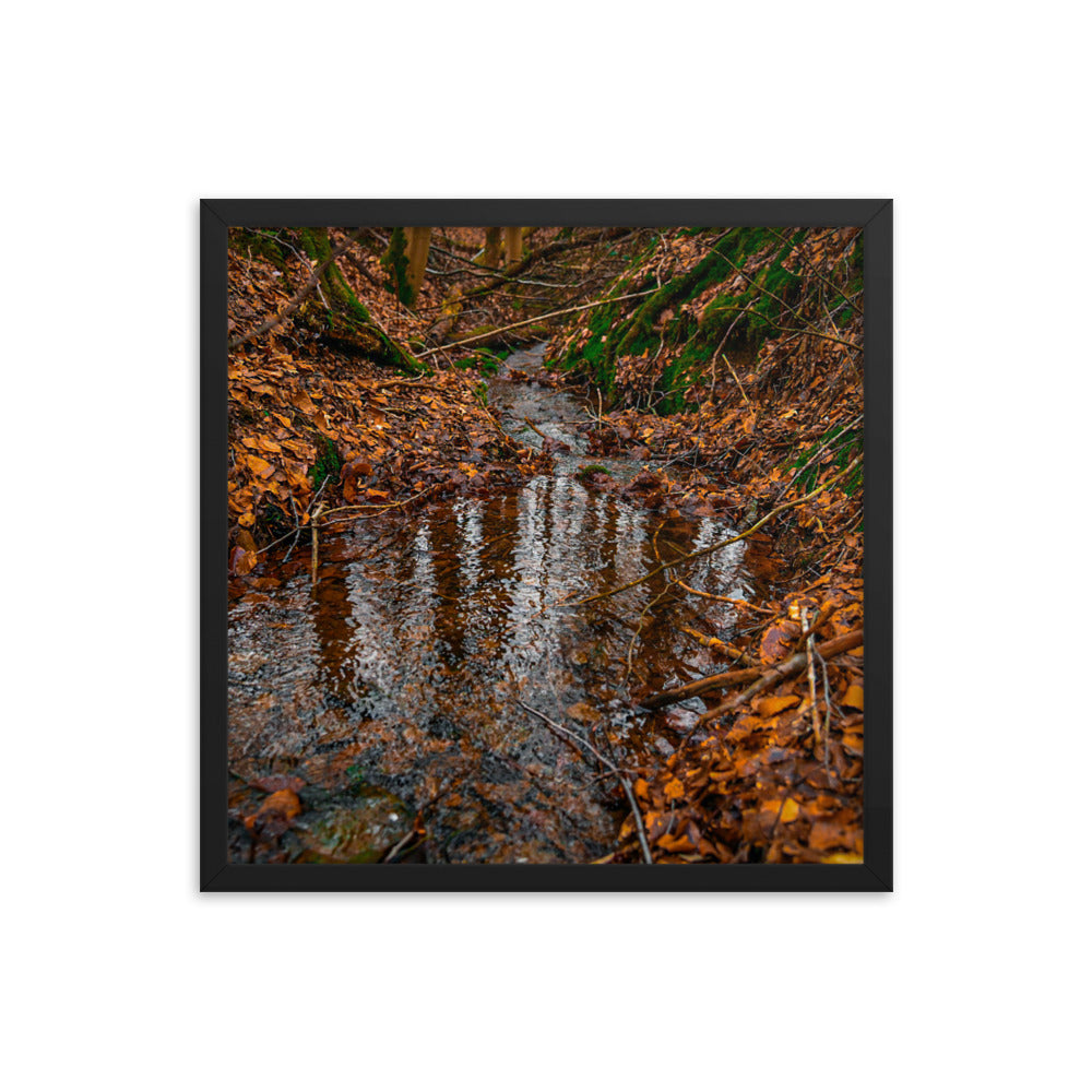 Herbstlicher Bachlauf - Gerahmtes Poster - Das Lädchen von Fotograf Oberberg