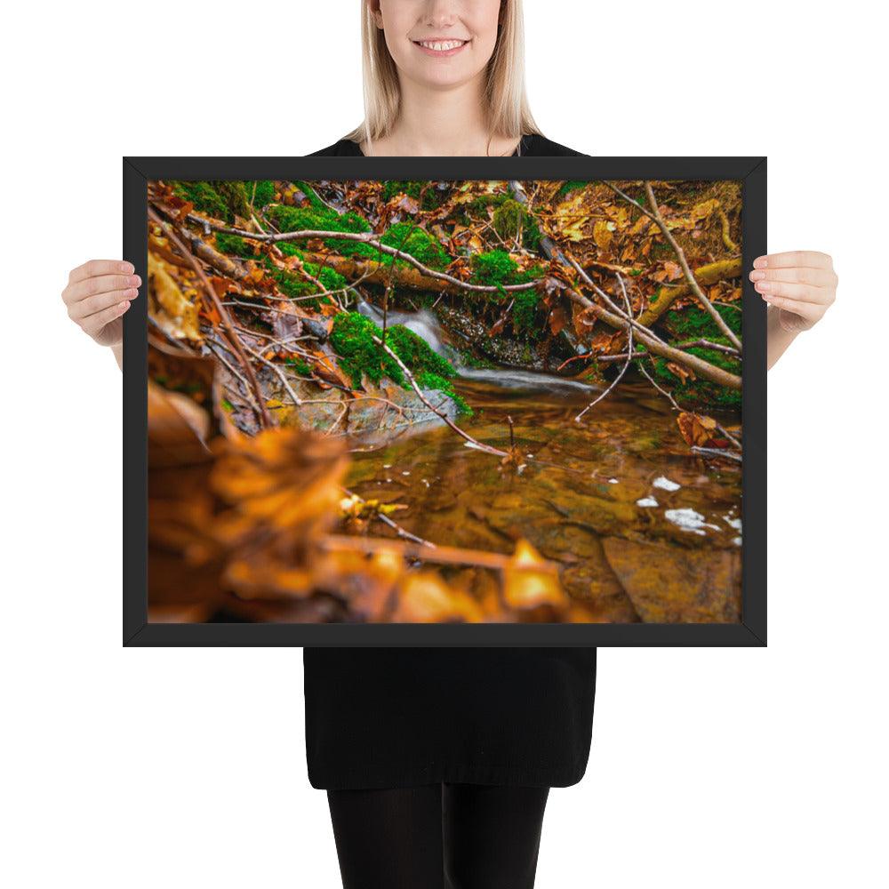 Bachlauf im Wald - Gerahmtes Poster - Das Lädchen von Fotograf Oberberg