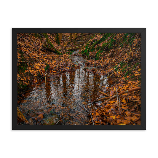 Herbstlicher Bachlauf - Gerahmtes Poster - Das Lädchen von Fotograf Oberberg