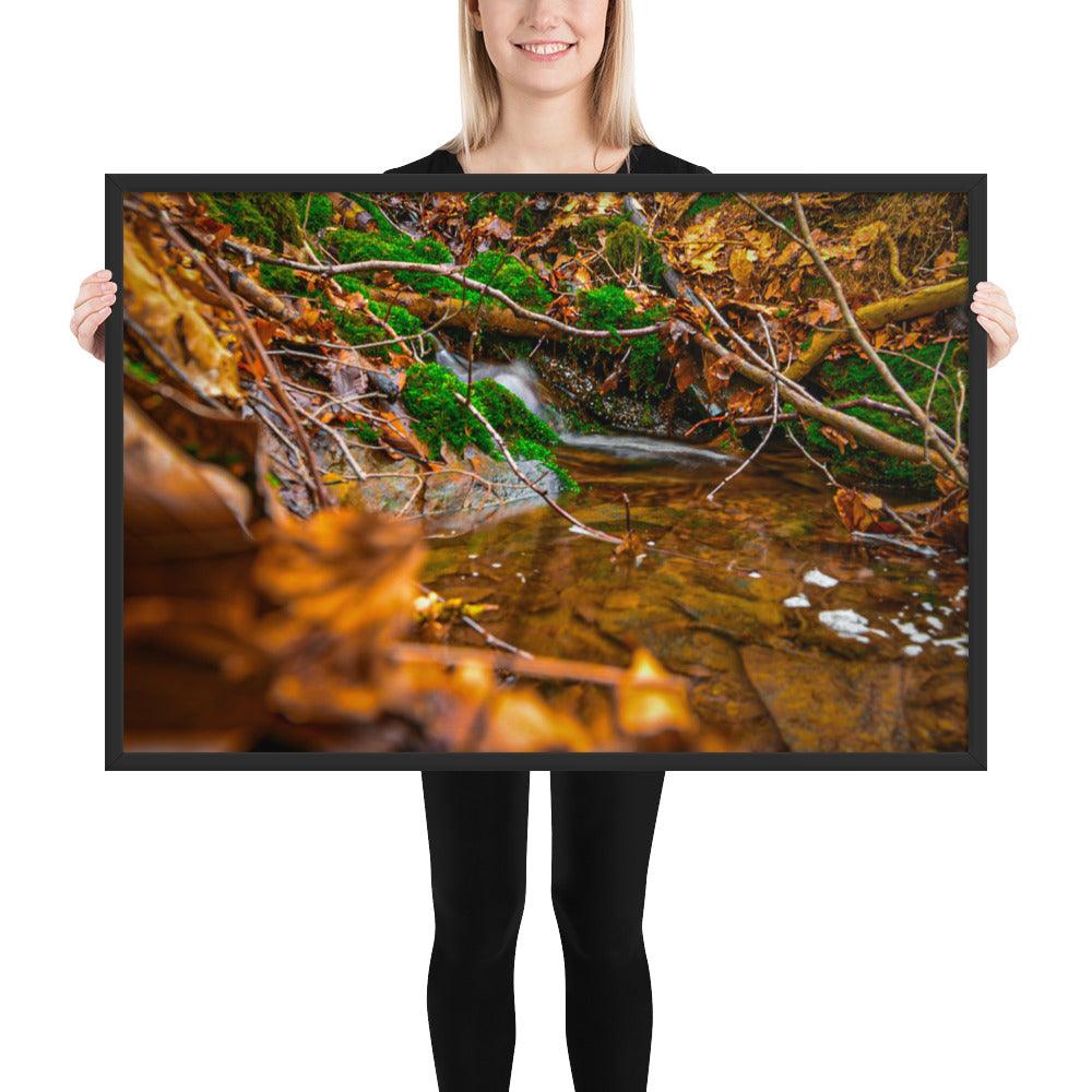 Bachlauf im Wald - Gerahmtes Poster - Das Lädchen von Fotograf Oberberg