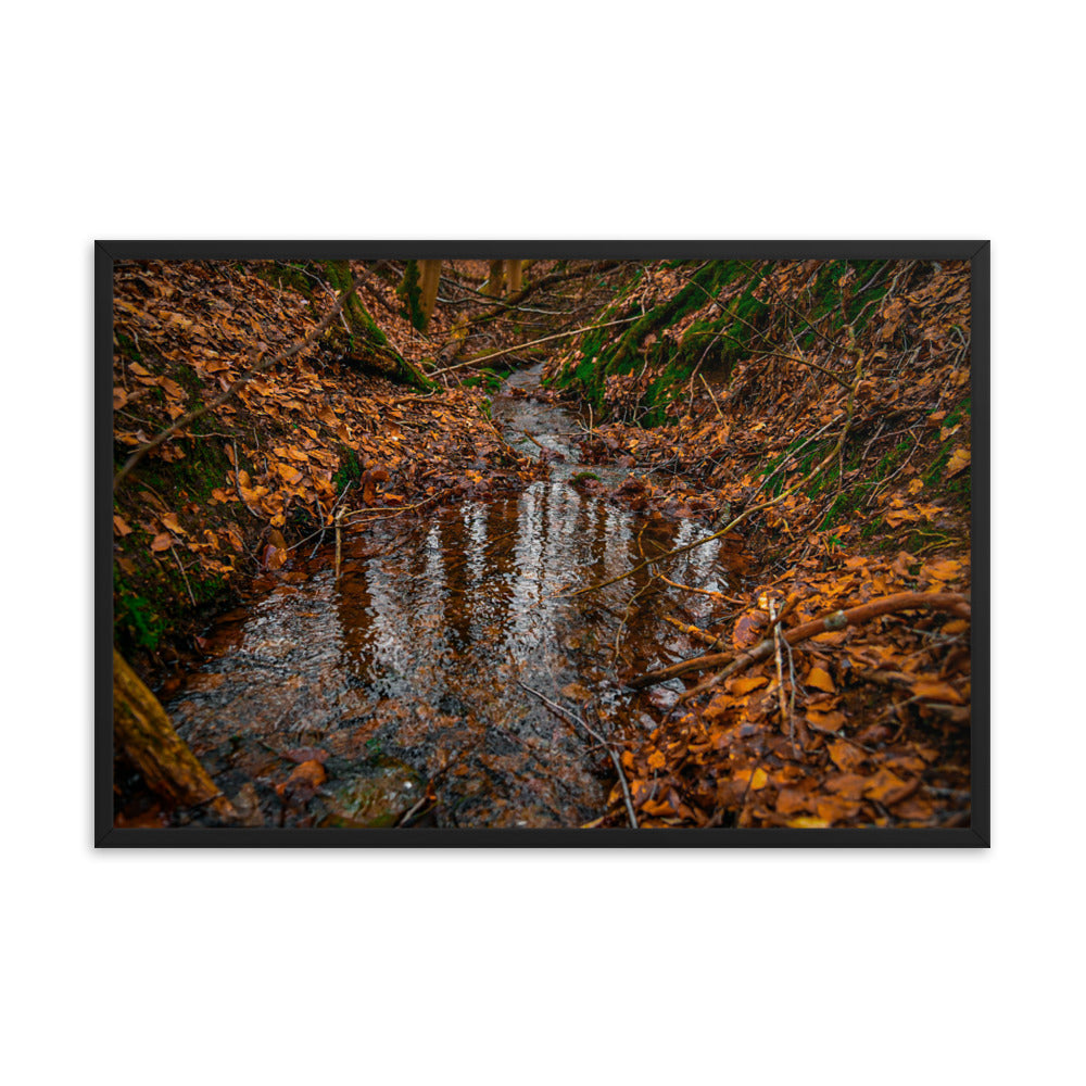 Herbstlicher Bachlauf - Gerahmtes Poster - Das Lädchen von Fotograf Oberberg