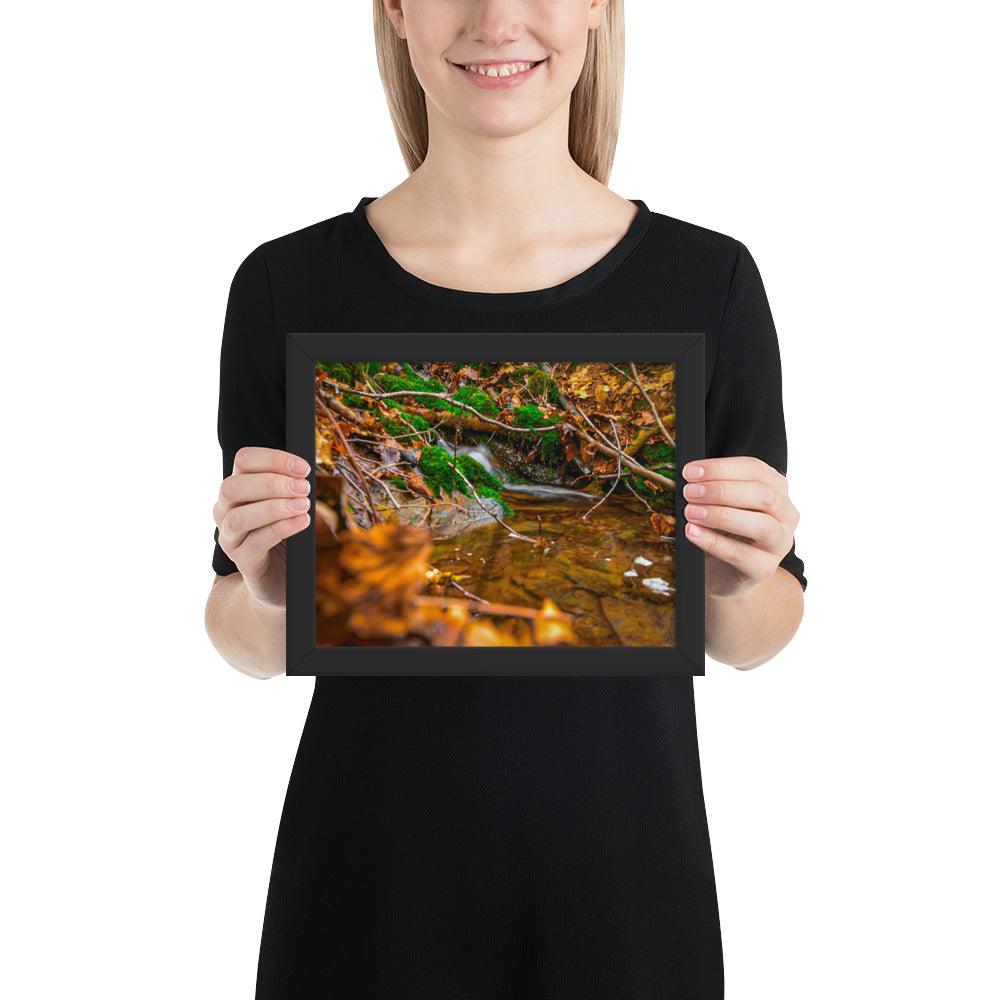 Bachlauf im Wald - Gerahmtes Poster - Das Lädchen von Fotograf Oberberg