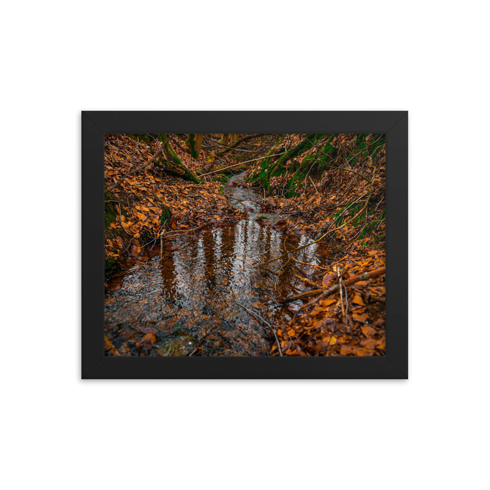 Herbstlicher Bachlauf - Gerahmtes Poster - Das Lädchen von Fotograf Oberberg