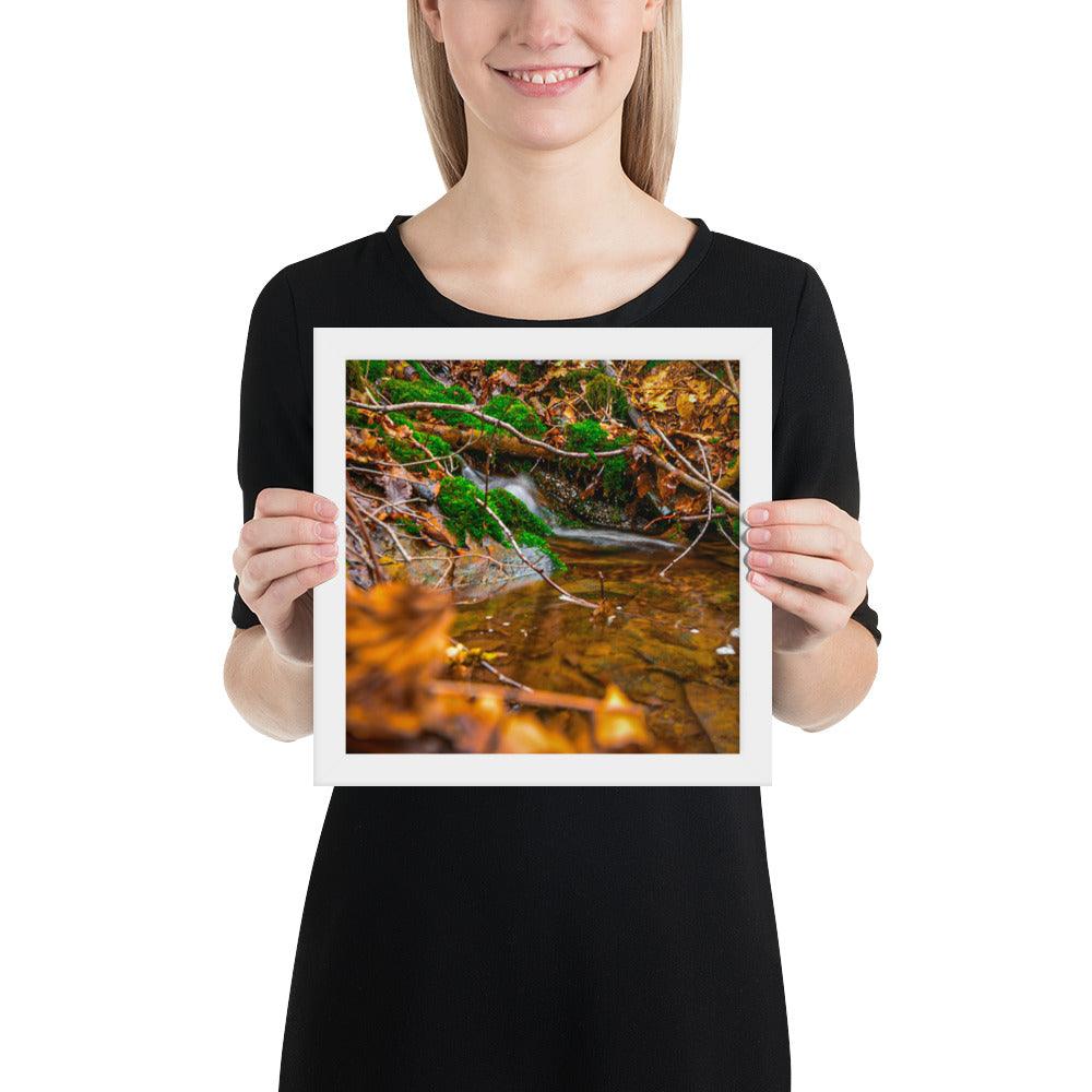 Bachlauf im Wald - Gerahmtes Poster - Das Lädchen von Fotograf Oberberg