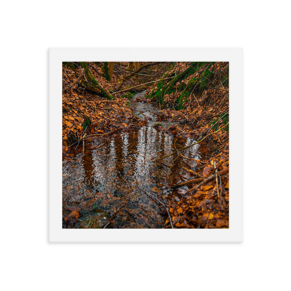 Herbstlicher Bachlauf - Gerahmtes Poster - Das Lädchen von Fotograf Oberberg