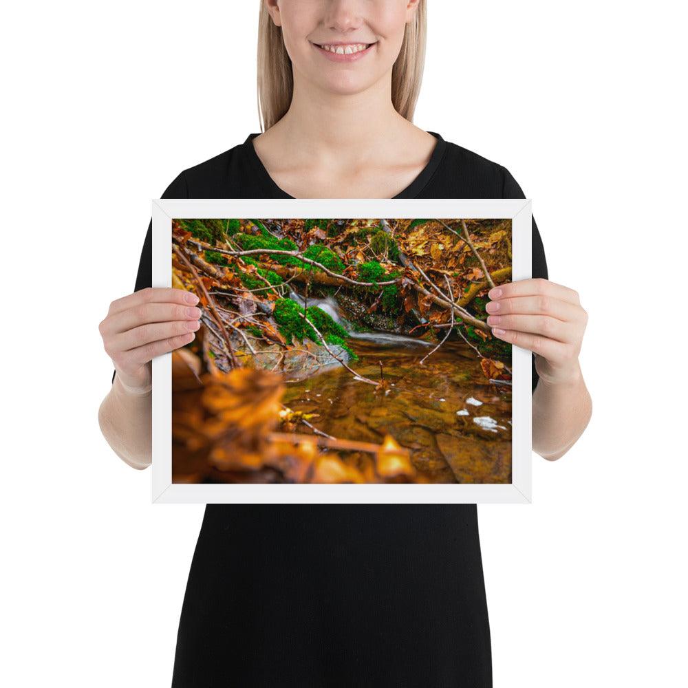 Bachlauf im Wald - Gerahmtes Poster - Das Lädchen von Fotograf Oberberg