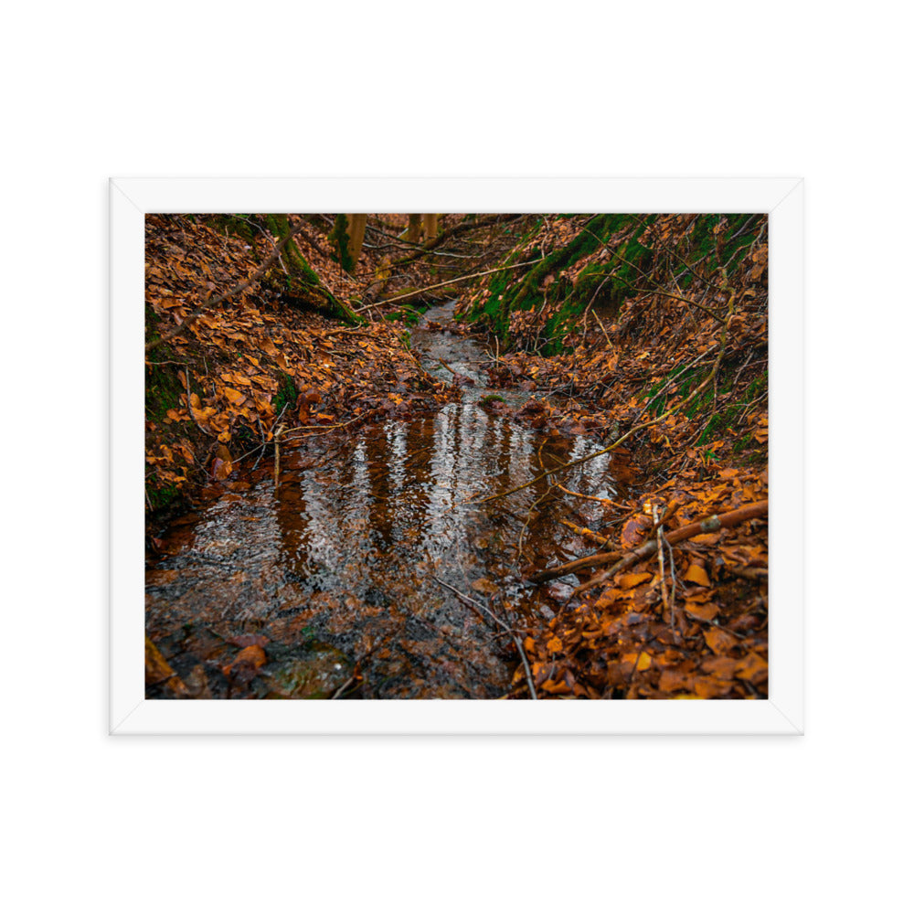 Herbstlicher Bachlauf - Gerahmtes Poster - Das Lädchen von Fotograf Oberberg