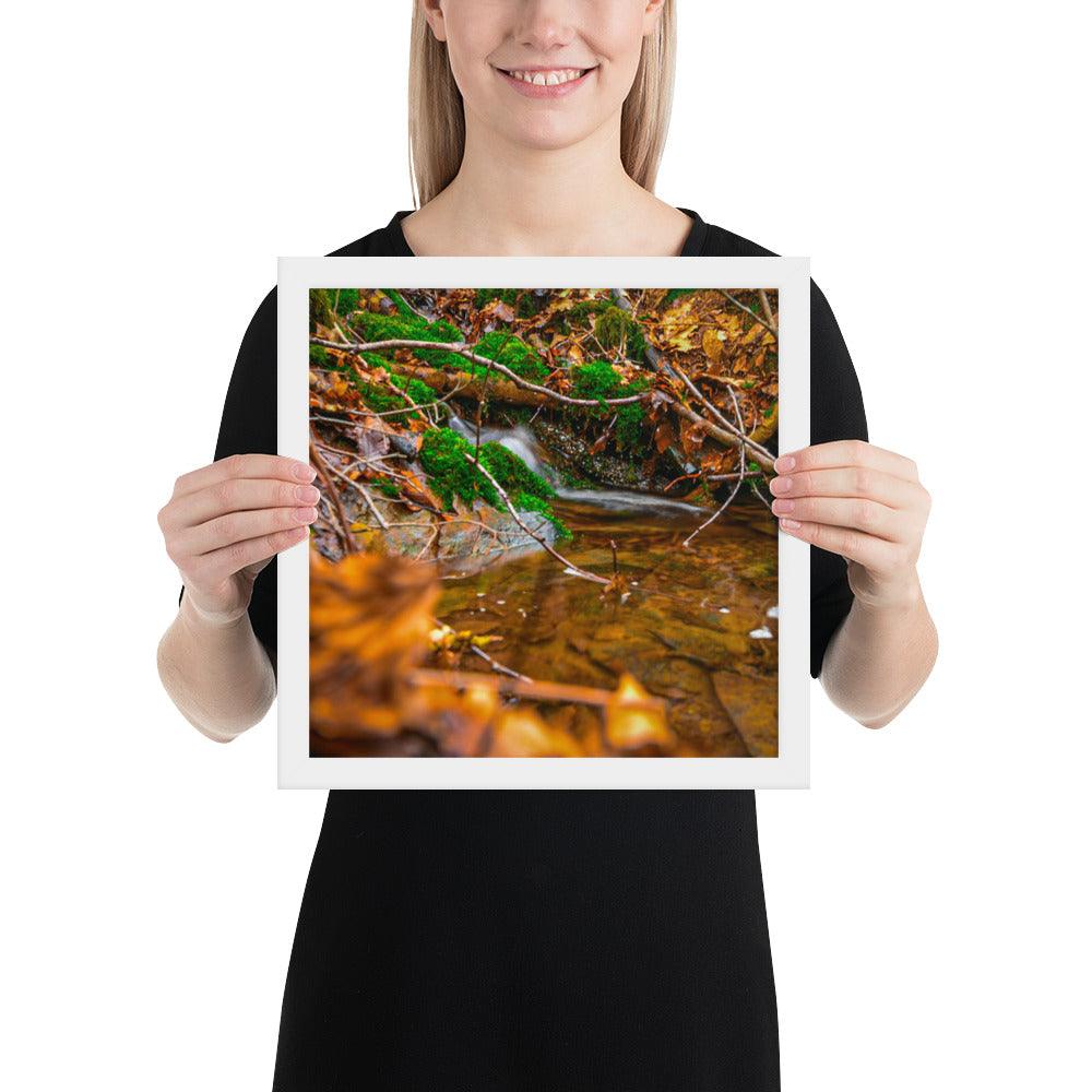 Bachlauf im Wald - Gerahmtes Poster - Das Lädchen von Fotograf Oberberg