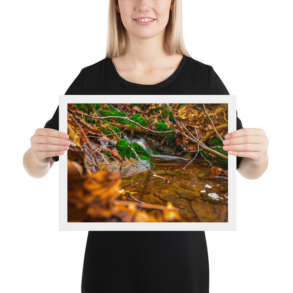 Bachlauf im Wald - Gerahmtes Poster - Das Lädchen von Fotograf Oberberg