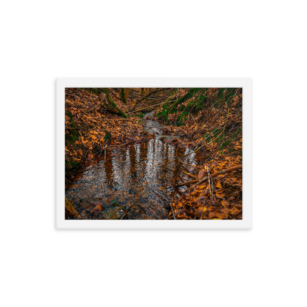 Herbstlicher Bachlauf - Gerahmtes Poster - Das Lädchen von Fotograf Oberberg