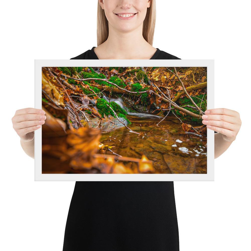 Bachlauf im Wald - Gerahmtes Poster - Das Lädchen von Fotograf Oberberg