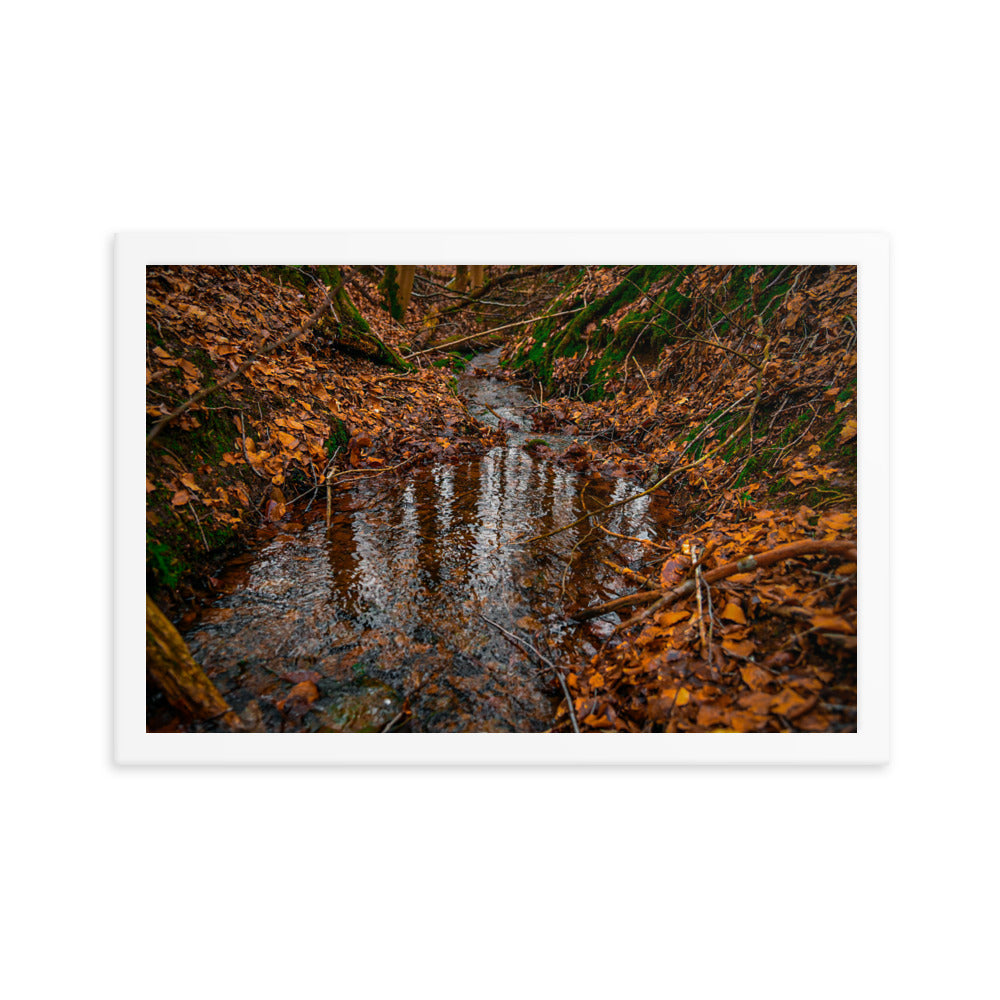 Herbstlicher Bachlauf - Gerahmtes Poster - Das Lädchen von Fotograf Oberberg