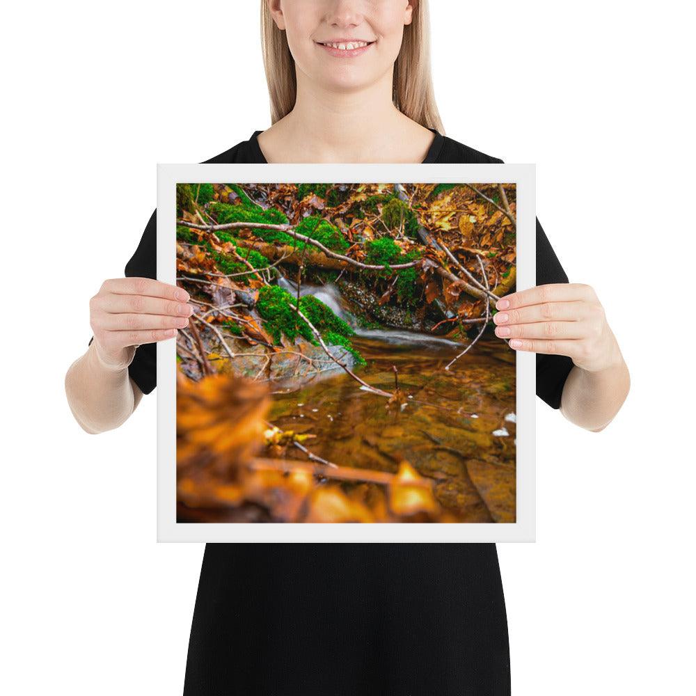 Bachlauf im Wald - Gerahmtes Poster - Das Lädchen von Fotograf Oberberg