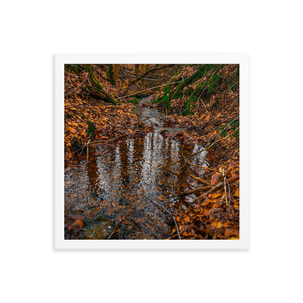 Herbstlicher Bachlauf - Gerahmtes Poster - Das Lädchen von Fotograf Oberberg