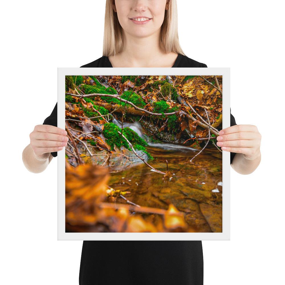 Bachlauf im Wald - Gerahmtes Poster - Das Lädchen von Fotograf Oberberg