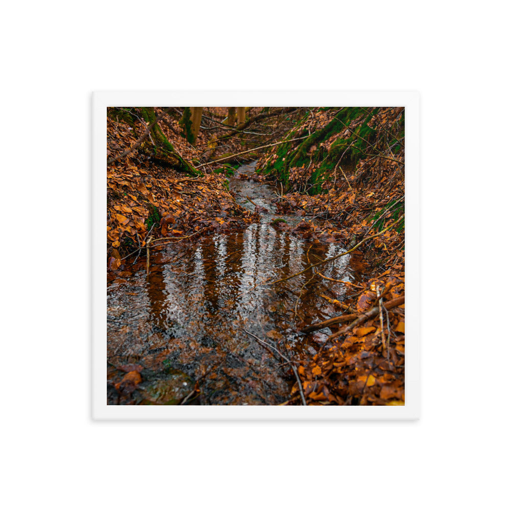 Herbstlicher Bachlauf - Gerahmtes Poster - Das Lädchen von Fotograf Oberberg