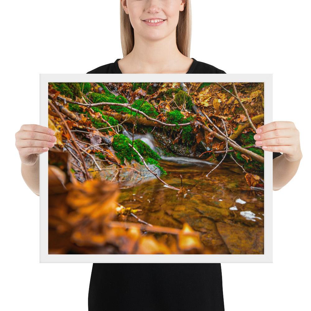 Bachlauf im Wald - Gerahmtes Poster - Das Lädchen von Fotograf Oberberg