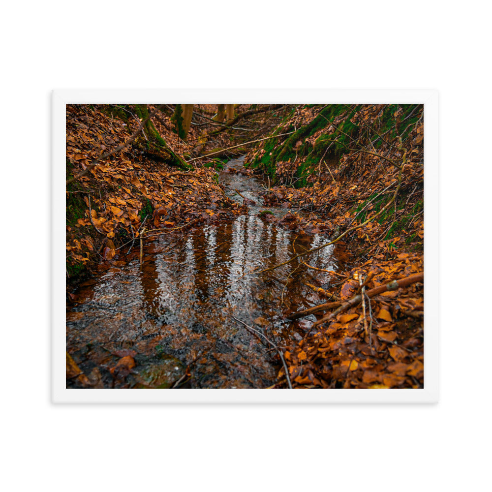 Herbstlicher Bachlauf - Gerahmtes Poster - Das Lädchen von Fotograf Oberberg