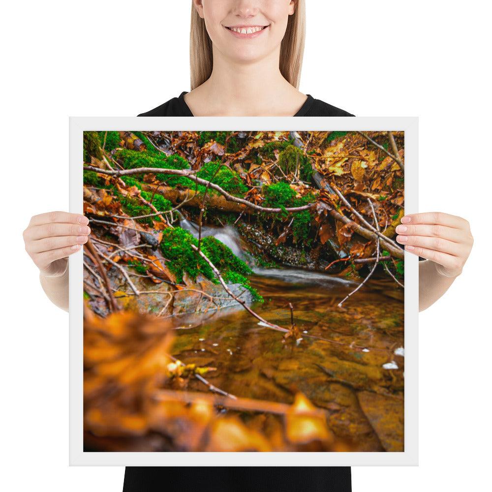 Bachlauf im Wald - Gerahmtes Poster - Das Lädchen von Fotograf Oberberg