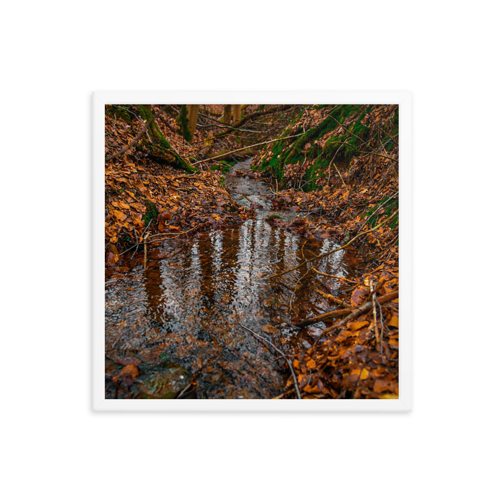 Herbstlicher Bachlauf - Gerahmtes Poster - Das Lädchen von Fotograf Oberberg