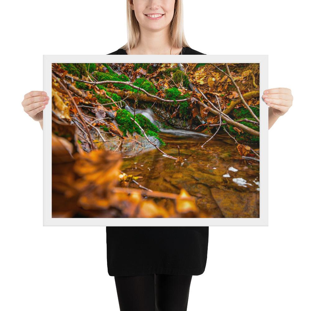 Bachlauf im Wald - Gerahmtes Poster - Das Lädchen von Fotograf Oberberg