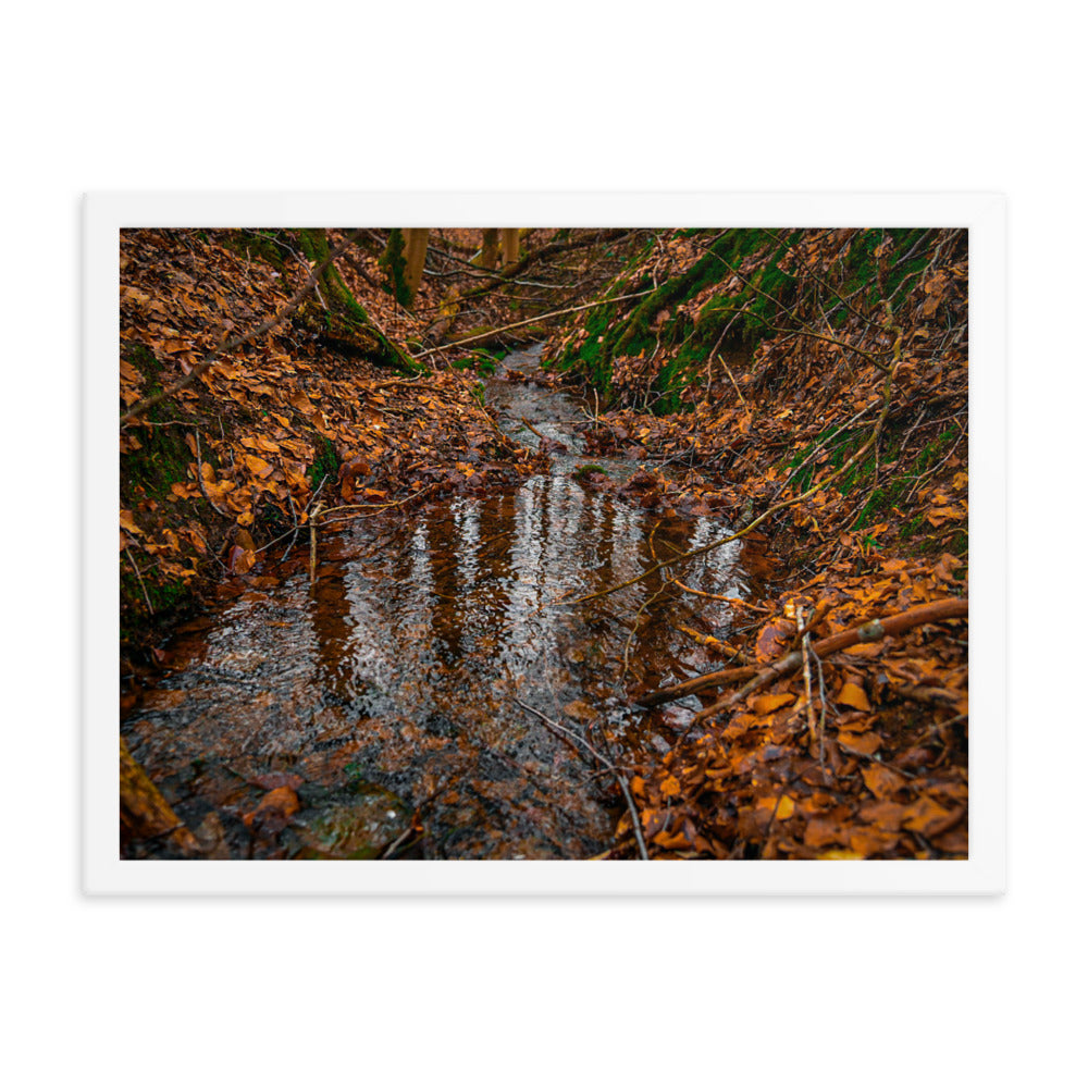 Herbstlicher Bachlauf - Gerahmtes Poster - Das Lädchen von Fotograf Oberberg