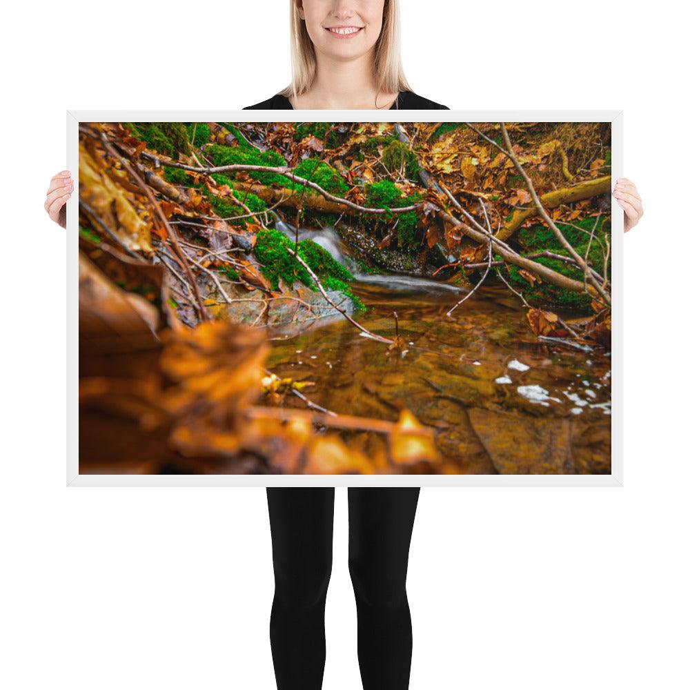 Bachlauf im Wald - Gerahmtes Poster - Das Lädchen von Fotograf Oberberg