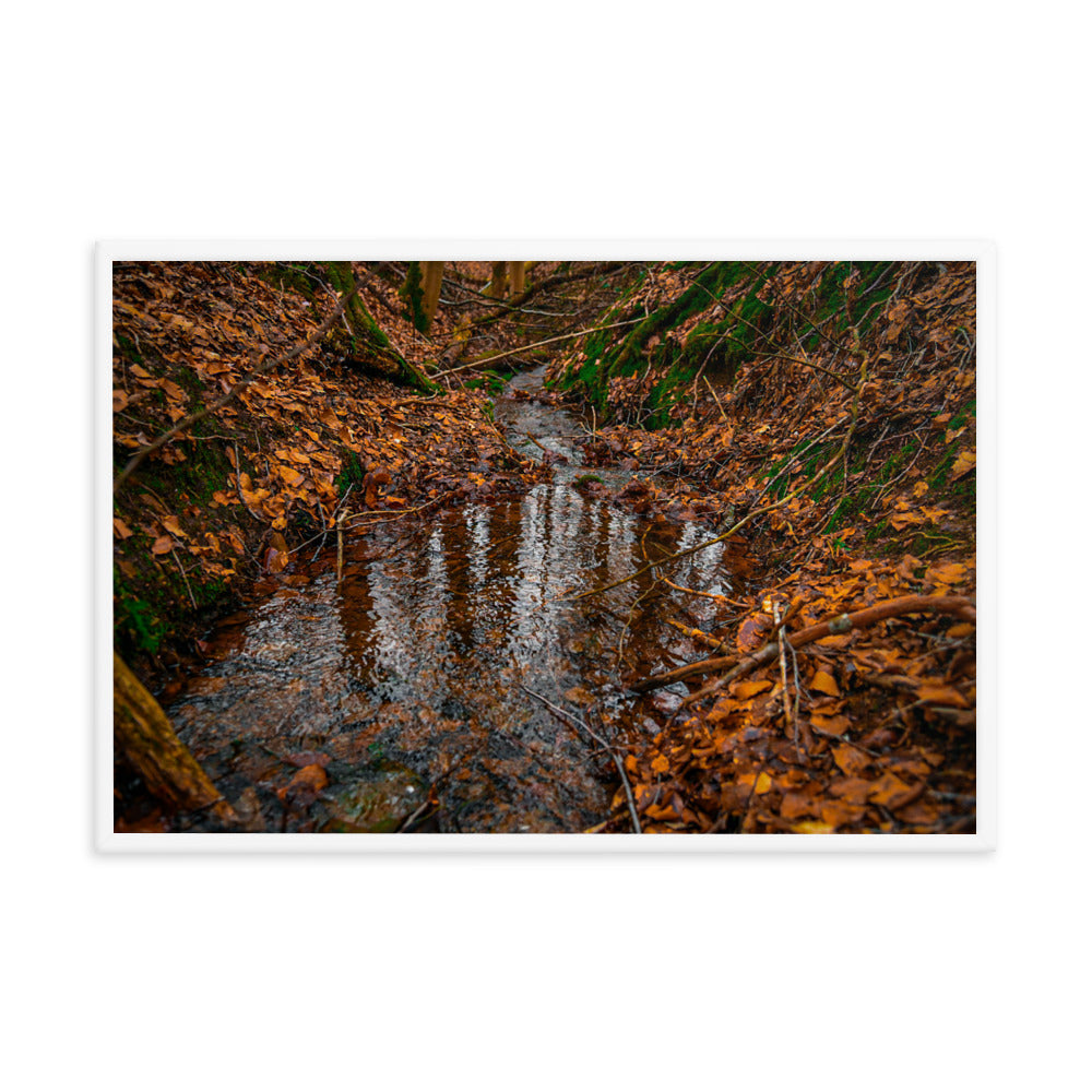 Herbstlicher Bachlauf - Gerahmtes Poster - Das Lädchen von Fotograf Oberberg