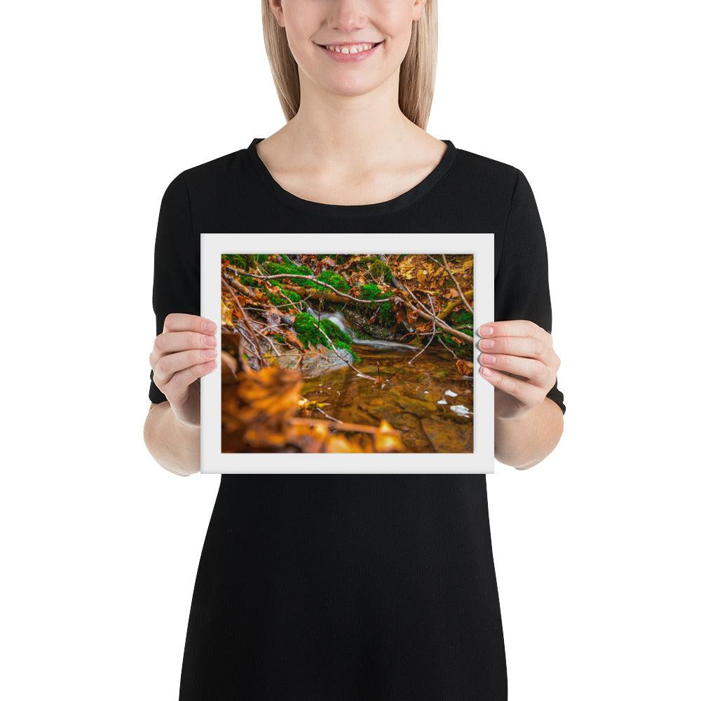 Bachlauf im Wald - Gerahmtes Poster - Das Lädchen von Fotograf Oberberg